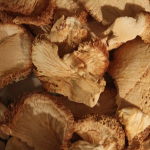May include: Close-up of dried, light brown mushrooms with a textured surface. The mushrooms are arranged in a pile, showing their various shapes and sizes.