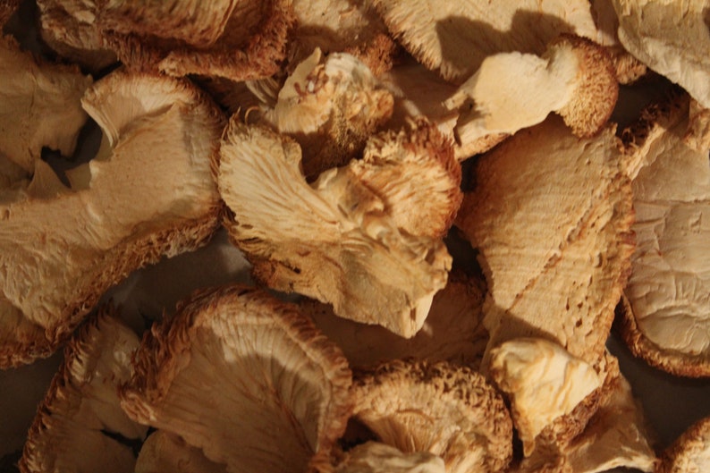 May include: Close-up of dried, light brown mushrooms with a textured surface. The mushrooms are arranged in a pile, showing their various shapes and sizes.