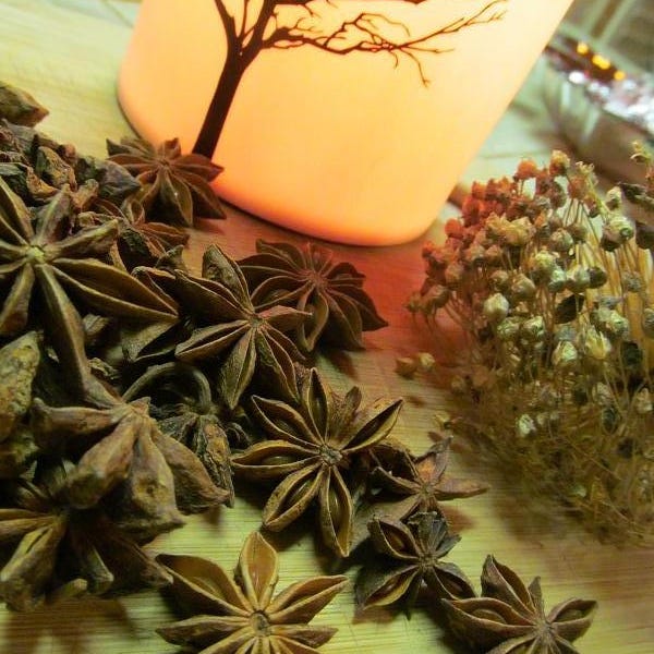 Star Anise Pods - Tea, Herbal Incense, Potpourri