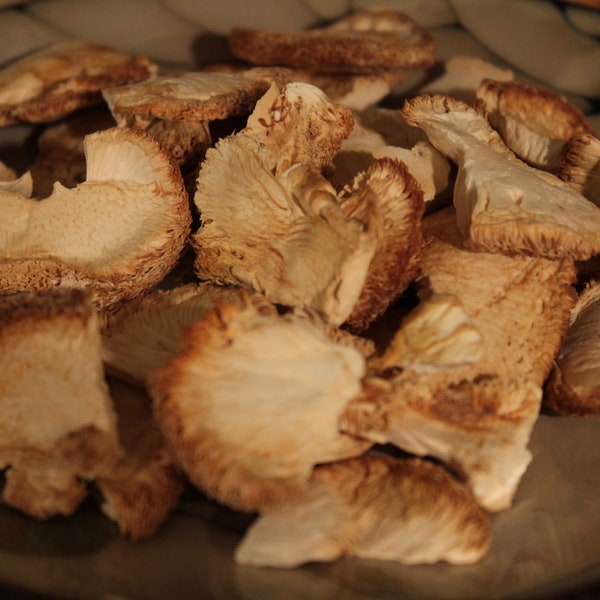 Lion's Mane Mushroom