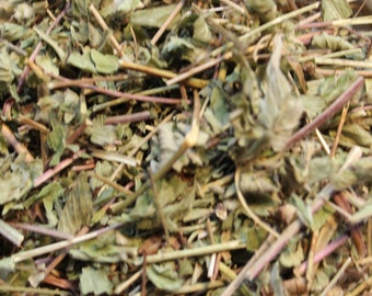 Cinquefoil Herb - Appalachian Mountains Wild Harvest!