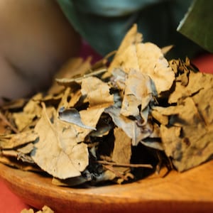 Curry Leaves - Sweet Neem