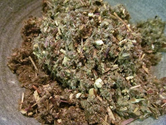 Mugwort Herb - Wild Harvest from the foothills of the Appalachian Mountains