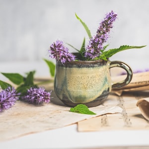 Peppermint Seeds - Grow your own Herbs!