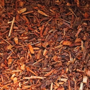 Honeybush Red Tea