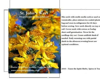 May include: A close-up of yellow St. John's Wort flowers. The image includes the text "St. John's Wort Hypericum pyramidatum" and "Native Wild Plant Seeds by Tame the Spirit www.tamethespiritherbs.com".