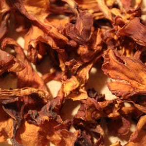 Chanterelle Mushroom Powder - 100% Powdered Mushrooms, No mycelium, No fillers