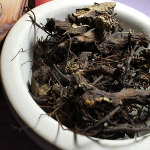 Black Cohosh Root - Large Cut, 2025 Appalachian Mountains Wild Harvest
