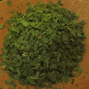 Cilantro