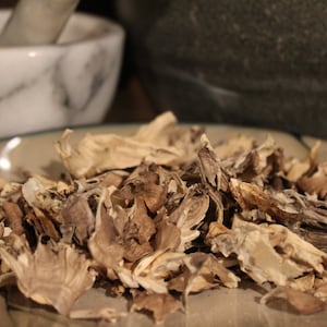 Maitake Mushroom, Hen of the woods