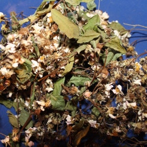 Blackberry Flower Leaf Tea - Appalachian Mountains Wild Harvest