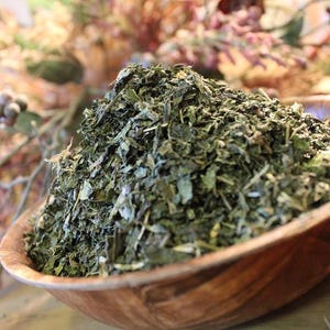 Nettle Leaf - Fresh Herb, Wild Harvest from the foothills of the Appalachian Mountains