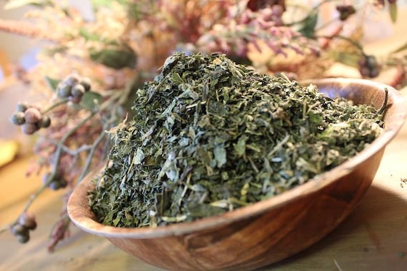 Nettle Leaf - Fresh Herb, Wild Harvest from the foothills of the Appalachian Mountains