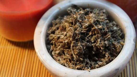 Cinquefoil Herb - Appalachian Mountains Wild Harvest!