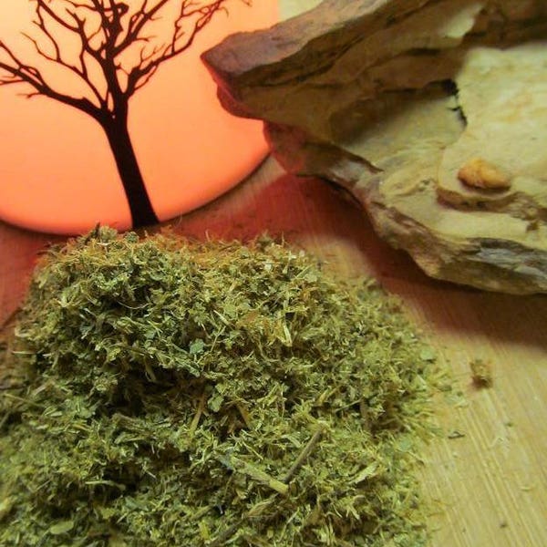 Hierba de ensueño, (mexicana) Calea Zacatechichi