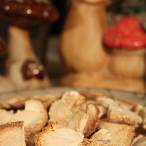 May include: A close-up of a bowl filled with dried, light brown, mushroom-shaped food. The mushrooms are arranged in a random pattern and appear to be brittle and delicate.