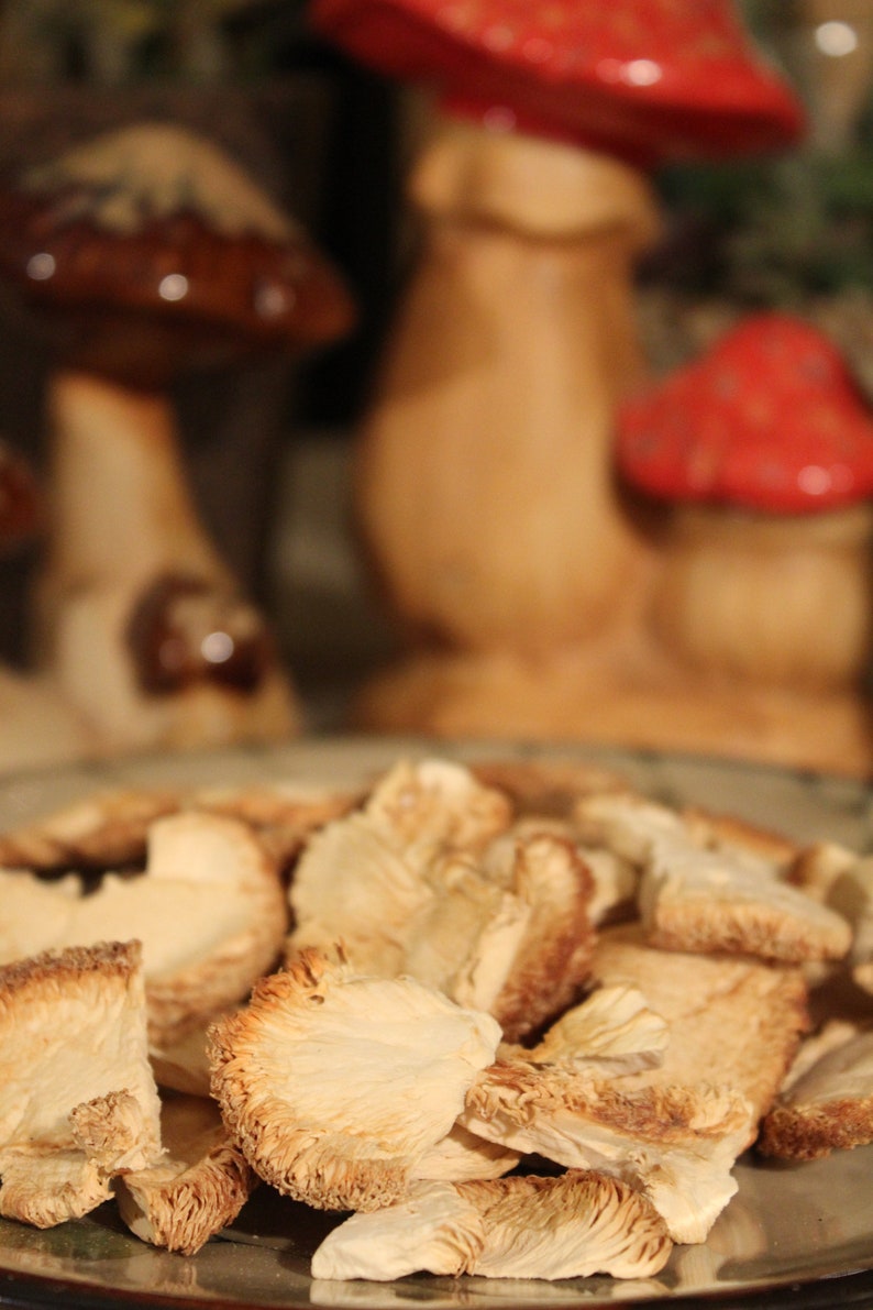May include: A close-up of a bowl filled with dried, light brown, mushroom-shaped food. The mushrooms are arranged in a random pattern and appear to be brittle and delicate.