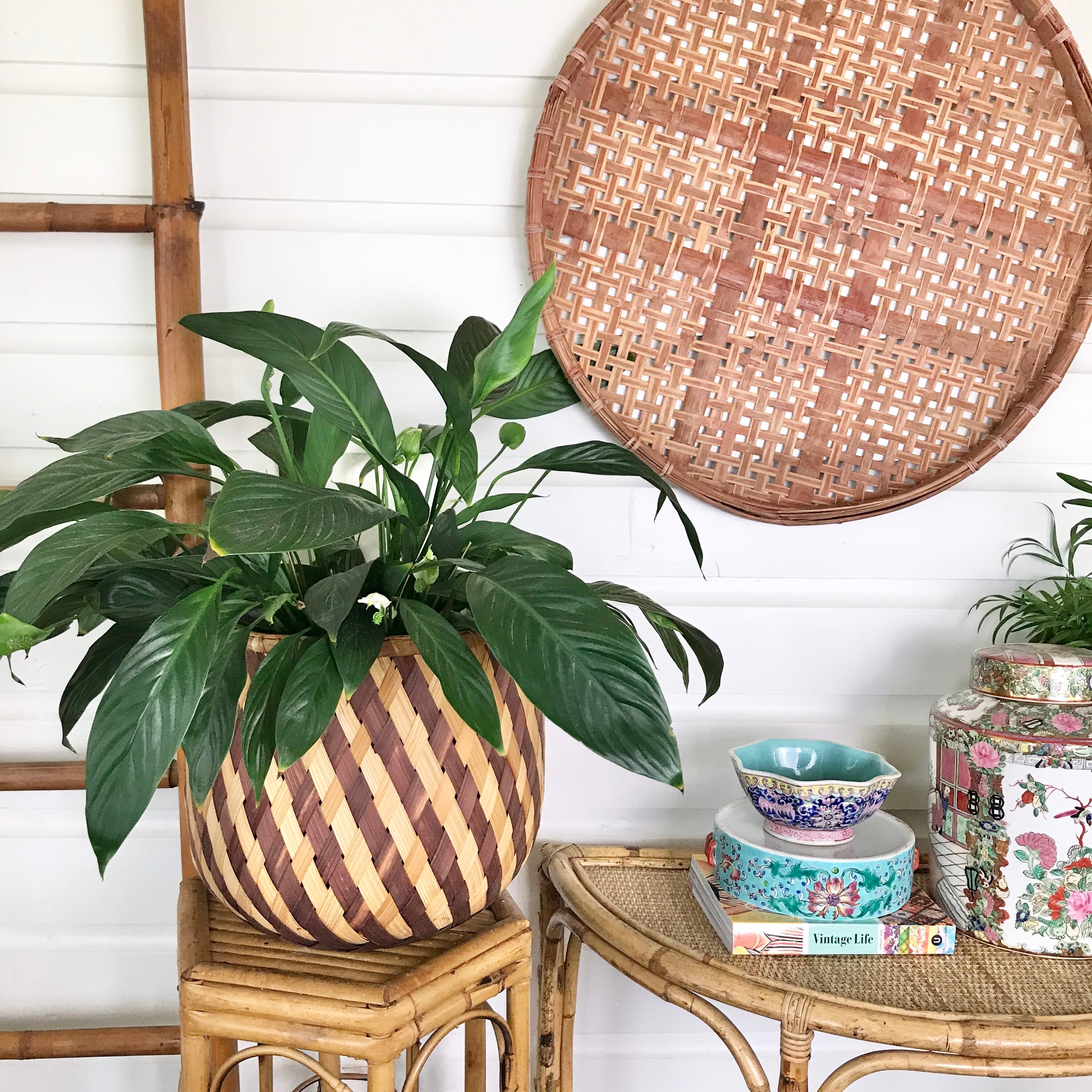 Vintage xl Woven Plant Basket Coastal Planter Bohemian Decor Etsy