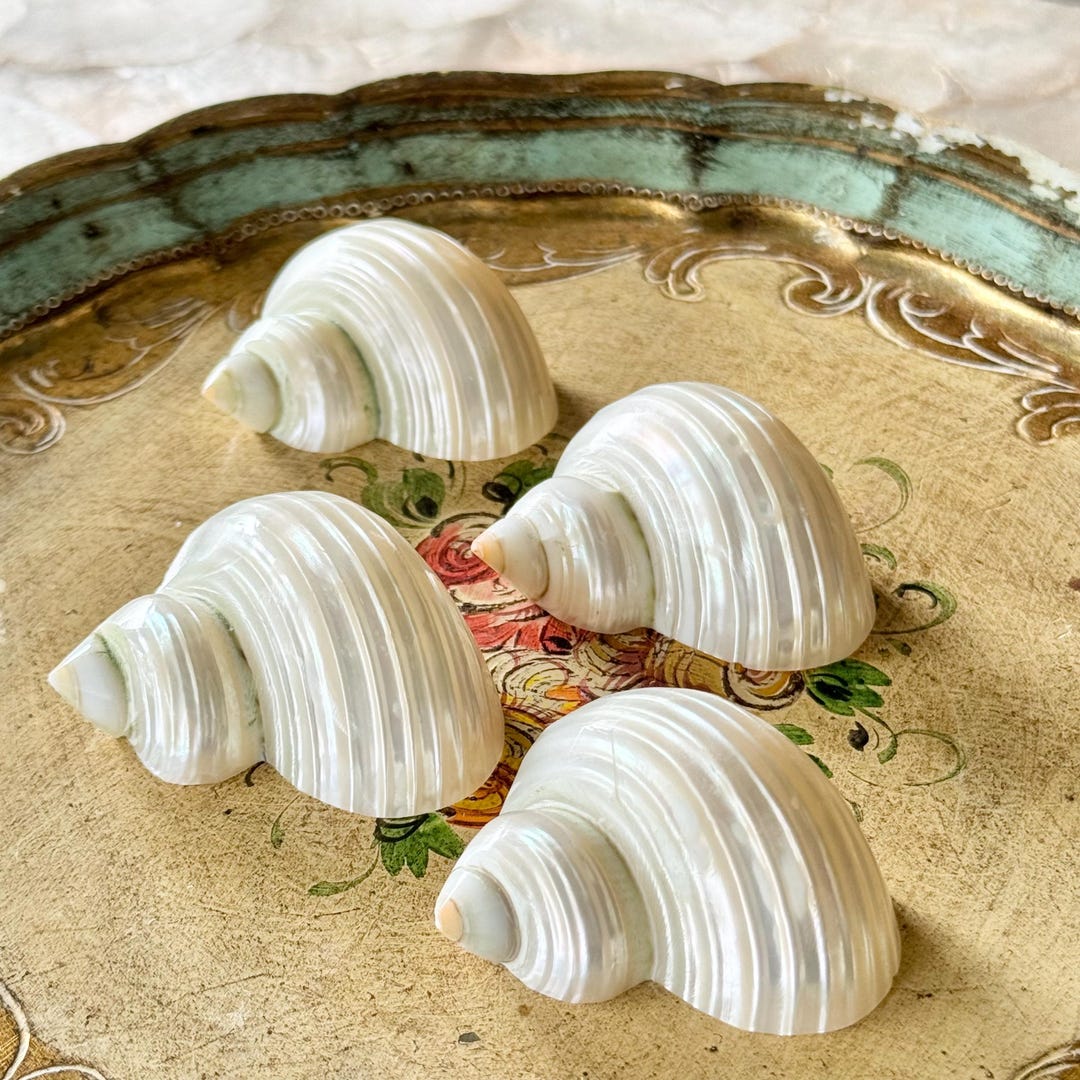 Vintage Seashell Napkin Rings Mother of Pearl Shimmery Pearlized Shells ...