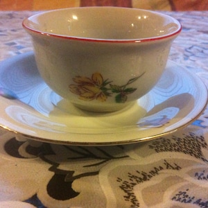 Vintage  White Tea Cup & Saucer, Collectible Teacup, Antique Meakin Cup, White Teacup, Vintage Teacup, Porcelain Teacup, Ceramic Teacup