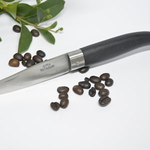 Pocket Knife - Hand Forged Blade - &quot;Aypa Yatagan&quot; - Turkish Hand Made Pocket Knife - 8.6 inch - Folding Pocket Knife - Black Pocket Knife