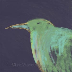 Bird drawing, art print, original art, purple, green, orange, aqua, 4 formats, art print, limited edition, signed and numbered test.
