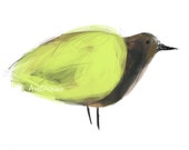Oiseau jaune, brun, rouille, dessin numérique original, impression de qualité, type giclée. Cadre non-inclus.