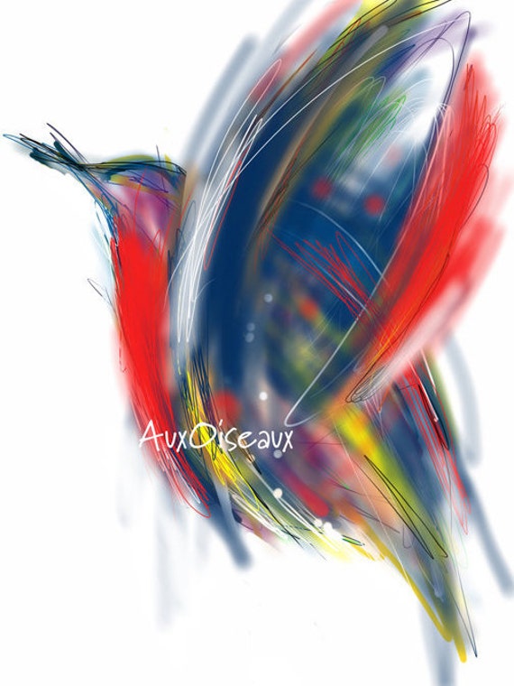 Carte De Souhaits Oiseau Rouge Bleu Jaune Format Une Fois Plié 5 X 7 Intérieur Blanc Enveloppe Comprise