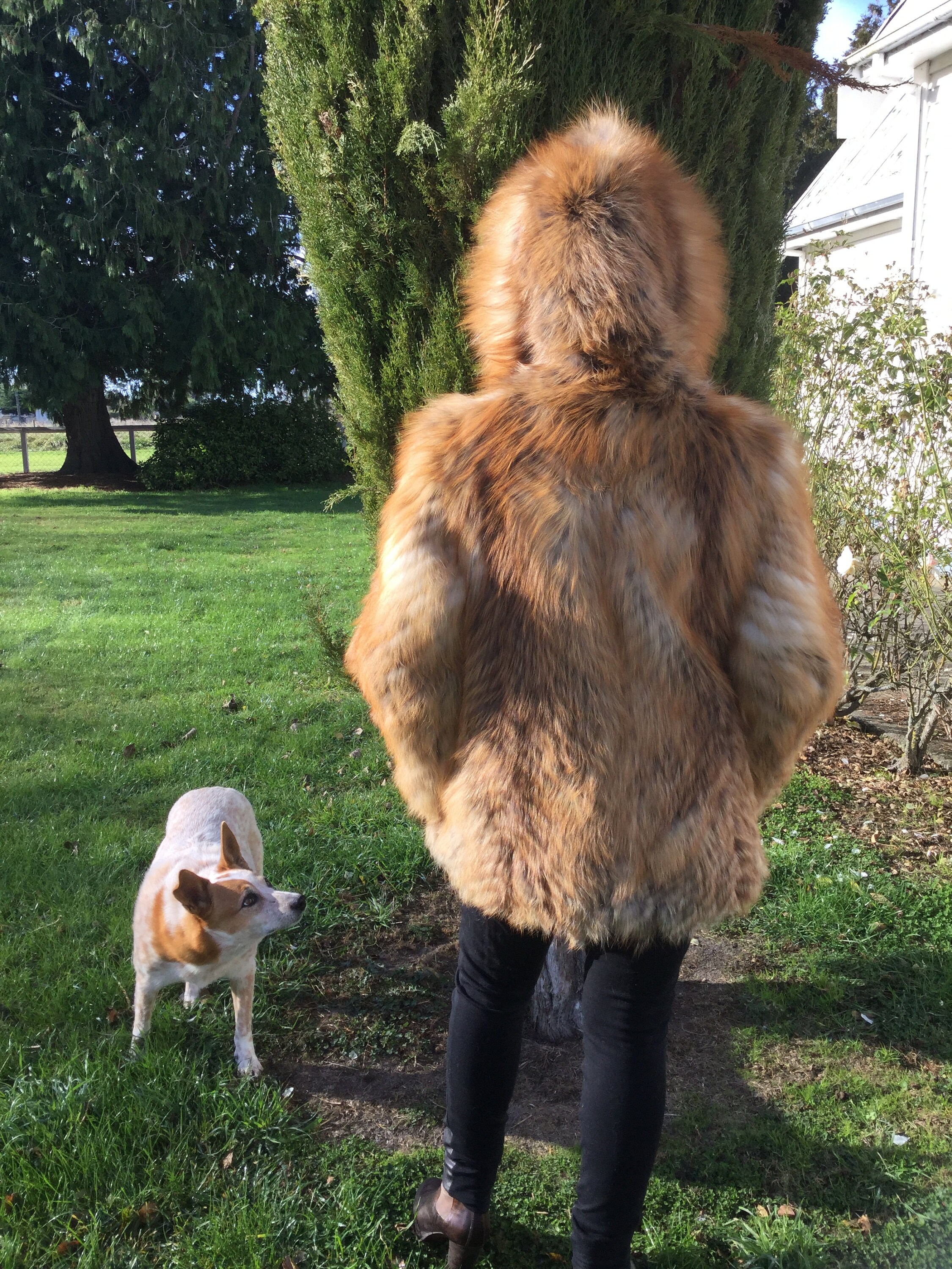 Fox Fur Coat Fur Jacket Real Fur Jacket. Etsy