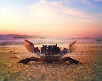 Impression de la côte du New Jersey, plage, crabe, coucher de soleil de photographie de l'océan, photographie de l'océan, photographie du lever du soleil, côte du New Jersey, plages du NJ