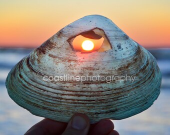 Jersey Shore Photos, Sunrise Photography, Shell, Seashell, Seashell Art, Beach Prints, Summer, Beach, Beach Photography, Beach Prints,