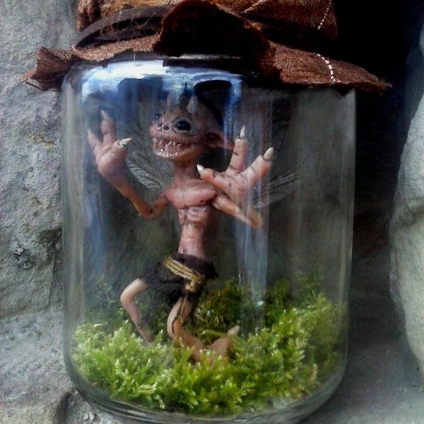 WILD FAIRY CAPTURED!!!!!!