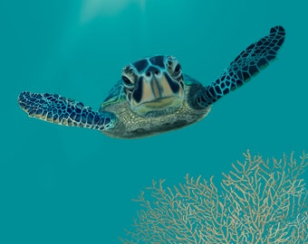 Sea Turtle Print