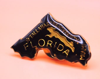 Zwarte vintage geëmailleerde reversspeld Florida