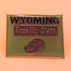 Wyoming Equality State Vintage USA Enamel Lapel Pin