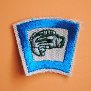 Micro Mini Fish Bass Fishing Scouts Patch