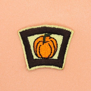Mini Micro Pumpkin Patch