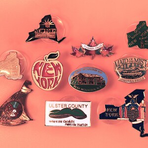 PICK ONE New York NYC Ulster County Watkins Glen Niagara Falls Bear Mountain Vintage State Enamel Lapel Pin