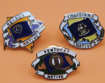 Vintage USA Native State Flag Pin