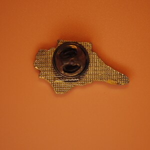 May include: Gold-colored pin with a detailed design of a state outline. The back of the pin has a metal clasp and the words "Made in USA".