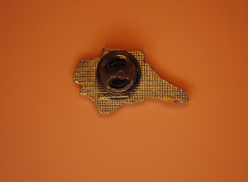 May include: Gold-colored pin with a detailed design of a state outline. The back of the pin has a metal clasp and the words "Made in USA".