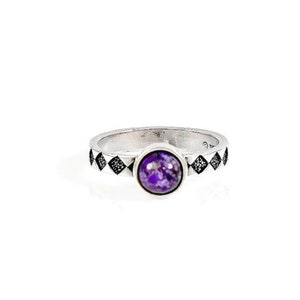 May include: A silver ring with a purple gemstone set in a bezel setting. The band is decorated with a row of black diamonds in a geometric pattern.