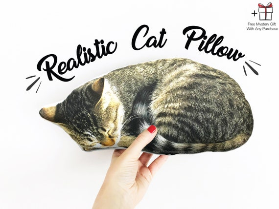 stuffed sleeping cat
