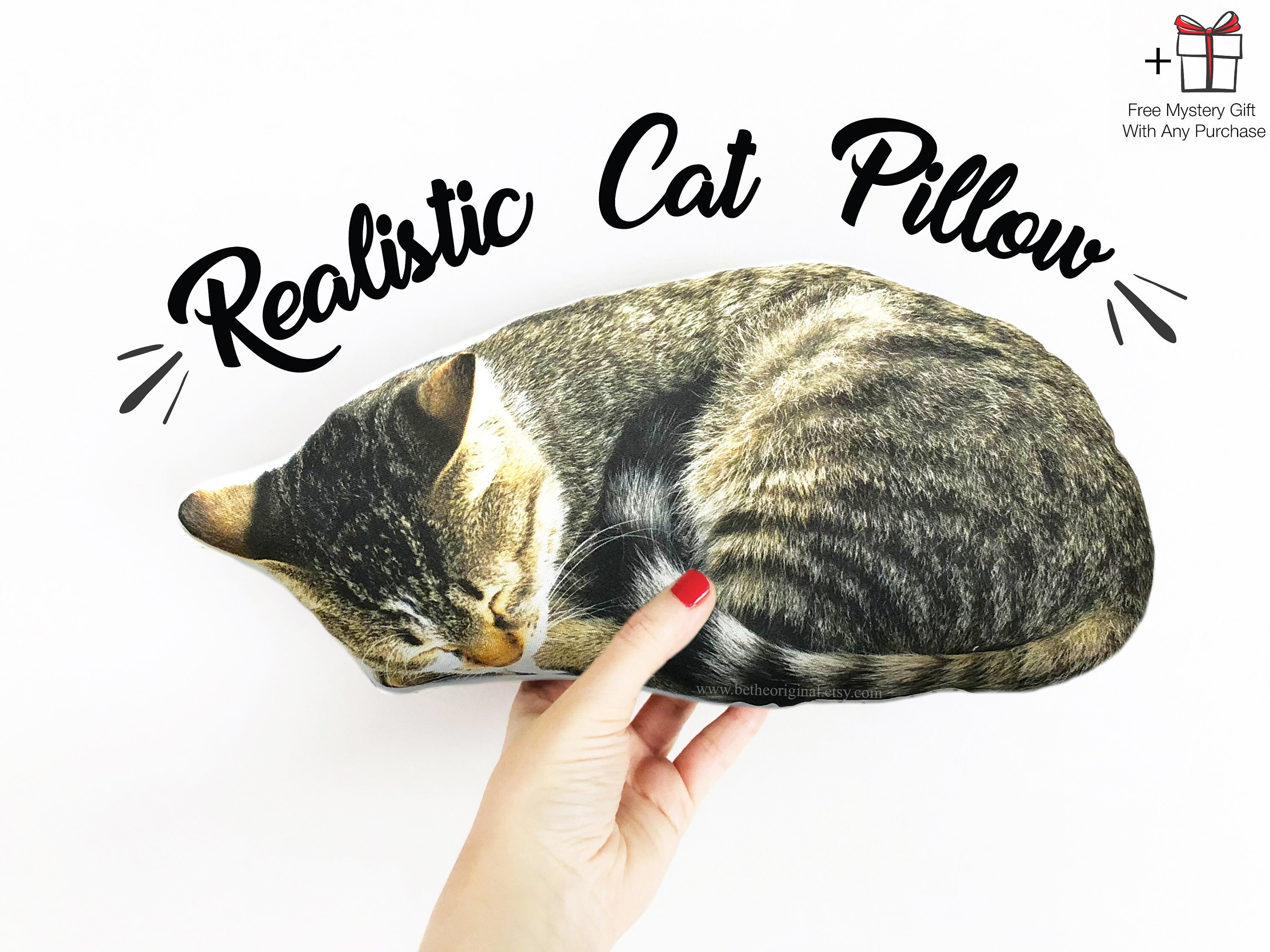 cat sleeping with stuffed animal
