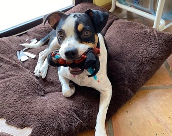 Fleece Dog Toy Set: Durable, Machine Washable, Pit Bull Approved