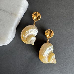 Könnte beinhalten: Ohrringe mit Muscheldesign und goldenen Akzenten. Die Ohrringe haben ein natürliches, spiralförmiges Muscheldesign mit einem goldfarbenen Ohrstecker oben. Sie hängen an einer zarten Goldkette. Der Hintergrund ist dunkelgrau.