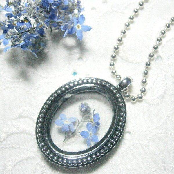Medaillon HALSKETTING met echte forget-me-not, ware forget-me-not bloem in het medaillon, echte bloemen ketting, blauwe bloei forget-me-nots
