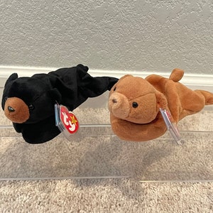 Blackie the bear discount