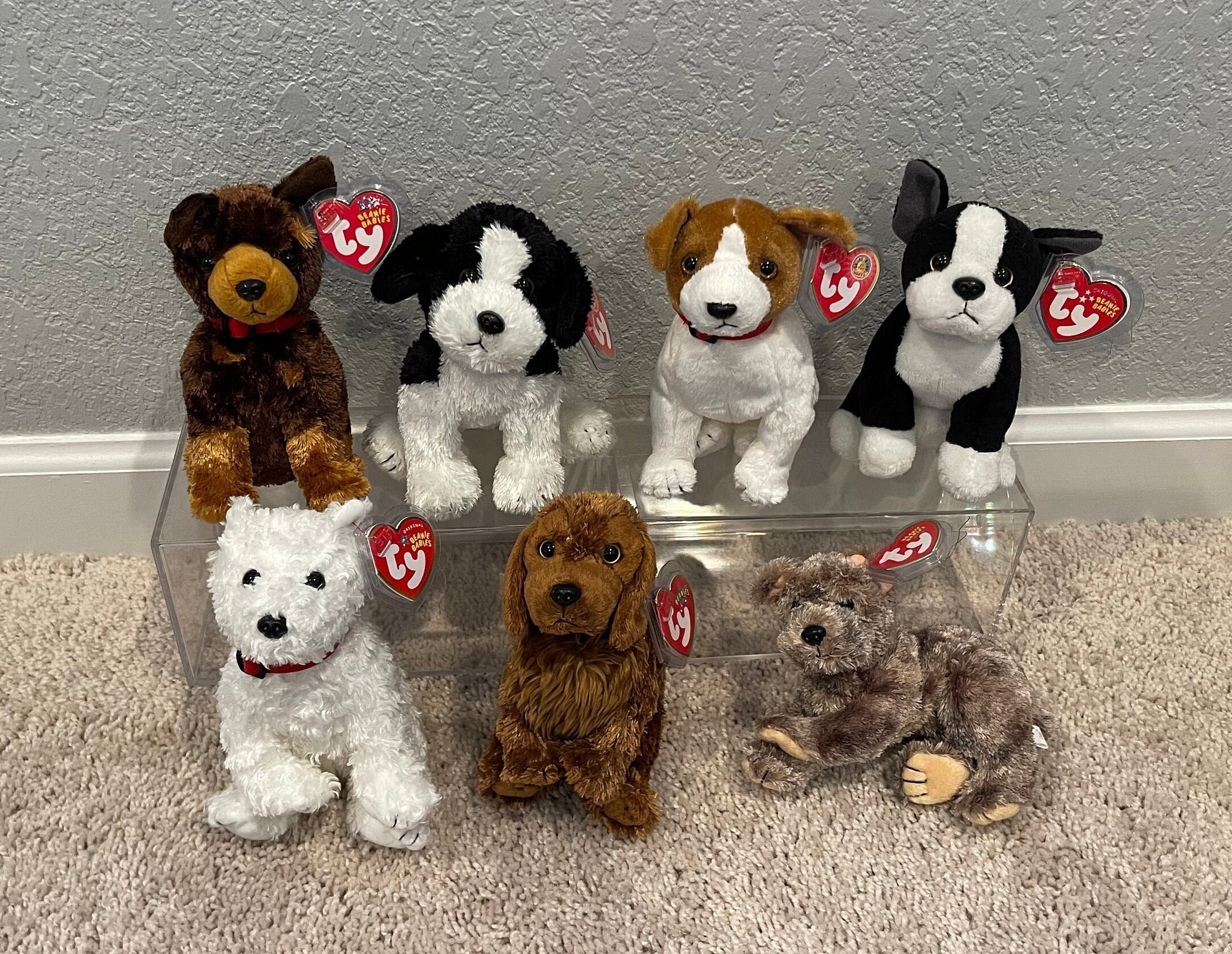 Ty Beanie Babies - Dogs - Amigo, Riggins, Kippy, Tux, Dundee