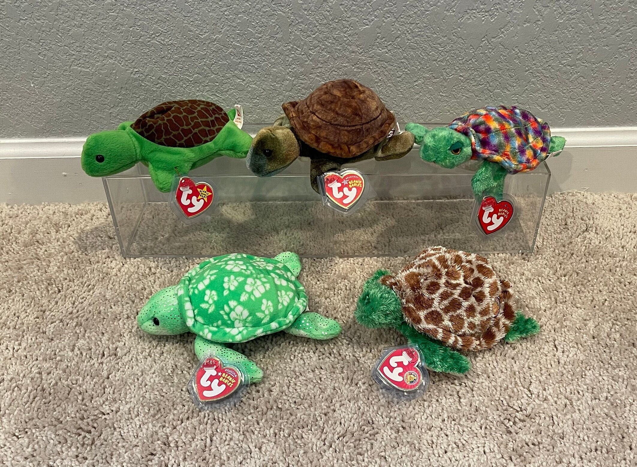 Turtle Beanie Baby Ty Tortuga Tmnt Michelangelo Tortuga Ninja